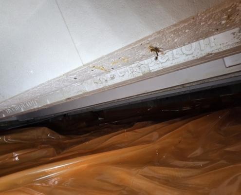 Stank verholpen door kruipruimte ventilatie in Breda Stank verholpen door kruipruimte ventilatie in Breda