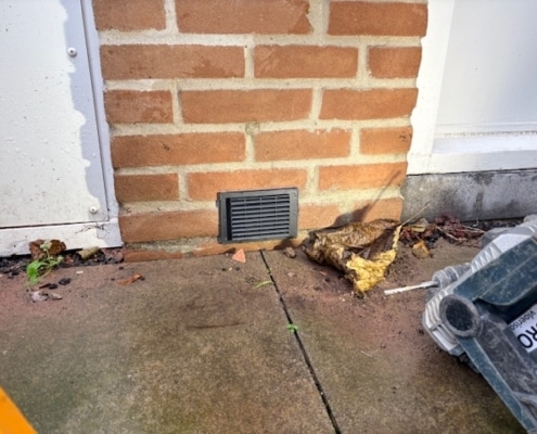 Stank verholpen door kruipruimte ventilatie in Vianen Stank verholpen door kruipruimte ventilatie in Vianen