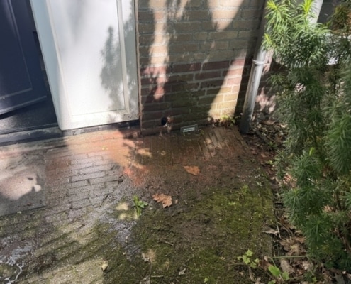 Stank verholpen door kruipruimte ventilatie in Berkel Enschot Stank verholpen door kruipruimte ventilatie in Berkel Enschot