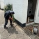 Kruipruimte ventilatie gaat schimmels tegen in Gendt
